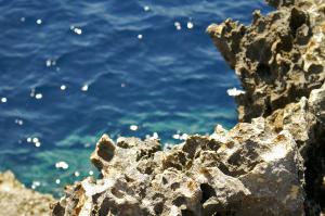 Foto kust van malta, fotoreizen